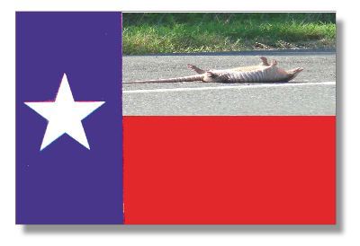 TX
              Roadkill Logo