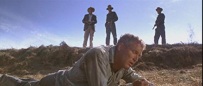 Cool Hand Luke