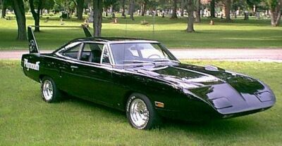 Black Superbird